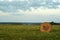 Round bale of hay on a beveled meadow