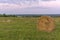 Round bale of hay on a beveled meadow