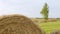 Round bale of hay on a field close up. Landscape meadow after harvest.