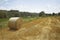 Round bale of hay in Tuscany countryside