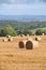 Round Bales