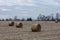 Round Bales in Cornfield