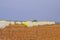 Round bales of freshly harvested cotton wrapped in yellow plastic, in the field in Campo Verde, Mato Grosso, Brazil