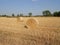 Round bales of hay