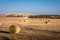 Round bales of hay in the field on Cyprus coastline in Cape Greco area.