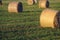 Round bales of hay stocks for the winter lie on the field, haymaking