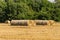 Round bales of straw in endless field after harvesting wheat. Blurred background. Selective focus. Close-up. Straw bales