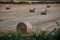 Round Bales of Straw in field, Forncett, Norwich, Norfolk, England, UK.