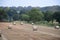 Round Bales of Straw in field, Forncett, Norwich, Norfolk, England, UK.