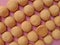 Round Biscuit Pattern Background, Biscuits neatly arranged