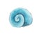 Round blue seashell painted in watercolor on white background