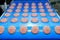 Round brown cookies biscuits on confectionery production