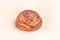 Round bun with raisins. Fresh pastries. Closeup on a light background