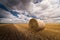 Round bundles of dry grass in the field,bales of hay