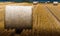 Round bundles of dry grass in the field,bales of hay