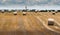 Round bundles of dry grass in the field,bales of hay