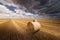 Round bundles of dry grass in the field,bales of hay