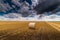 Round bundles of dry grass in the field,bales of hay