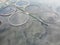 round cages for fish farming aerial photo on a summer day