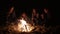 Round camera movement: Multiracial group of young boys and girls sitting by the bonfire late at night and singing songs