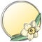 A round card with an empty space for insertion. Delicate narcissus flower with leaves