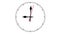 Round clock loop with hour, minute and second hands. Motion on white clock face. Animated 4k video