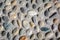 Round cobblestone pebble in concrete, street road pavement