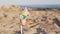 Round colored plastic pinwheel, windmill with blowing wind