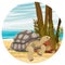 Round composition. Aldabra giant tortoise on the coast of a tropical island