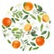 Round composition of hand drawn orange flowers, oranges, leaves and orange tree branches