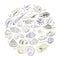 Round composition Summer concept with Unique museum collection of sea shells rare endangered species, molluscs Khaki brown purple
