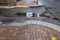 Round cornered brick and stone sidewalk alongside asphalt street with puddles and wet with rain