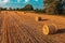 Round cylinder shaped hay bales in cultivated wheat field after crop harvest, high angle view