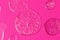 Round drops of white gel with bubbly texture.Jelly texture of antibacterial liquid with bubbles iside.Bright pink background with