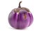 Round eggplant vegetable