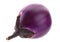 Round eggplant vegetable