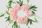 Round frame of flowers on a white background. light coral fresh peony flowers. flat lay, top view