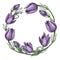 Round frame., wreath. Wild flower purple Pulsatilla, Eastern pasqueflower, prairie crocus, cutleaf anemone, rock lily