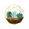 Round geometric terrarium with green succulent cactus plant