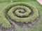 Round Grass design, a natural art
