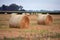 Round Hay Bails in Field