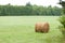 Round hay bale in field