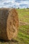 A round hay bale lying on a harvested stubble field. Rolled Straw stack on agrofarm field. Harvest season landscape