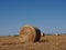 Round Hay Bales In Alberta Prairie Field