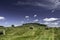 Round hay bales on the Canadian prairies