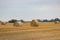 Round Hay Bales on Farmer`s Field on Prairie