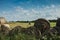 Round hay bales lying on a green field and white clouds on blue sky