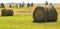 Round Hay Bales Panoramic