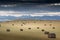 Round hay bales sit on a harvested field overlooking the Canadian Rockies