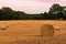 Round hay bales at sunset on farmland in West Sussex, UK